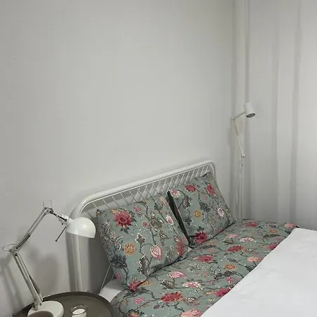Alto Guest 招待所 洛萨